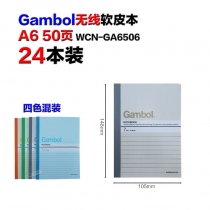 GA6506*24本