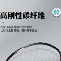 羽拍-2