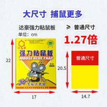 粘鼠板-2